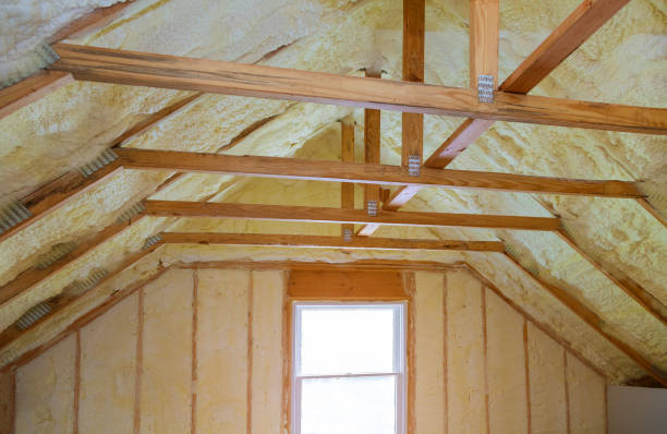Best Best Insulation Companies  in Chapel Hill, TN