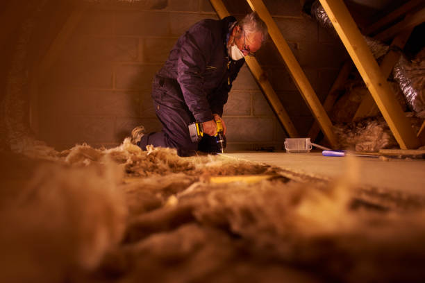 Best Energy-efficient Insulation  in Chapel Hill, TN
